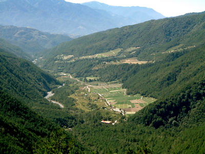 武陵農場開發於民國52年,以生產高山蔬果而聞名,如今在環境政策的調整下,正面臨著轉型經營。