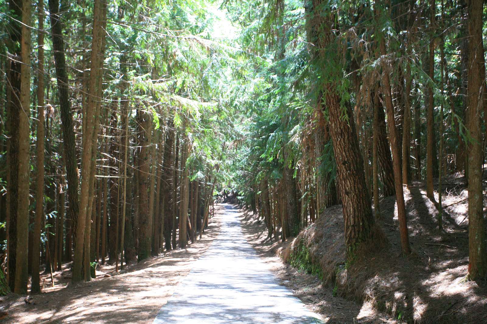 桃山瀑布步道