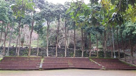 Forest Classroom