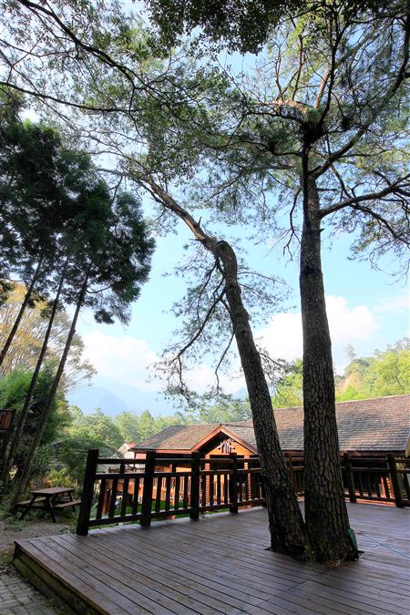 Cabin Area Observation Deck