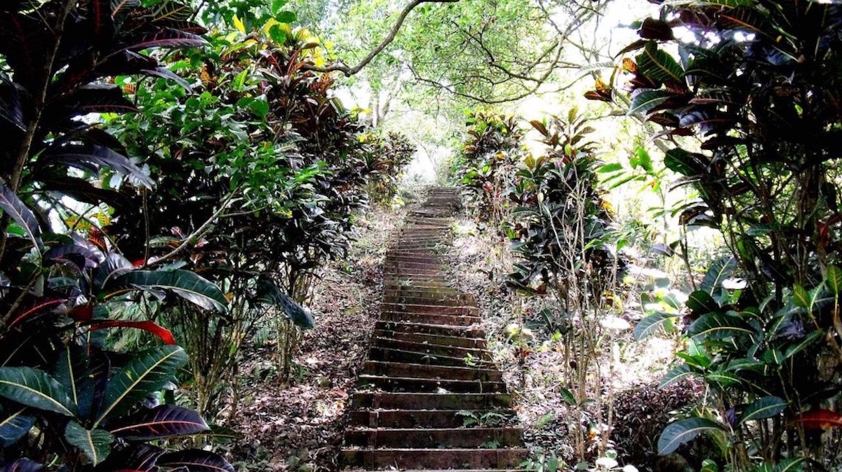 獨立山步道一隅